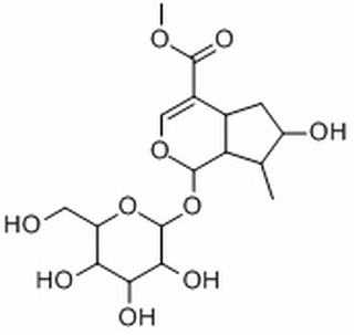 马钱苷，化学对照品(20mg)