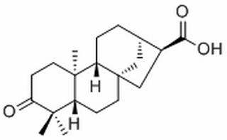 ent-3-Oxokauran-17-oic acid，分析标准品,HPLC≥98%