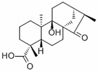 等效-9-羟基-15-氧代-19-异贝壳杉烷酸，分析标准品,HPLC≥98%