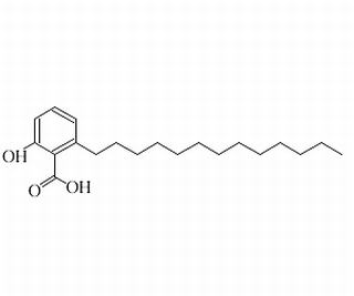 白果新酸（银杏酸C13:0），化学对照品(20mg)