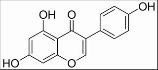 染料木素，化学对照品(约20 mg)