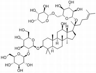 人参皂苷Rb2，化学对照品(约10 mg)