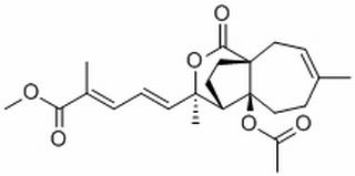 Methyl pseudolarate A，分析标准品,HPLC≥98%