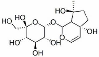 哈巴苷，化学对照品(20mg)