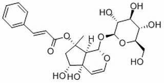 哈巴俄苷，化学对照品(20mg)