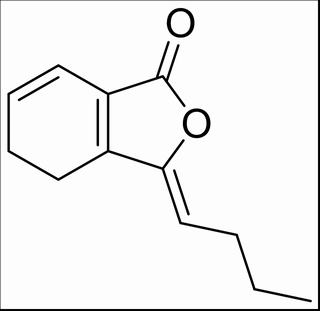 蒿本内酯，化学对照品(约 20μL/支)