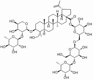 白头翁皂苷B4，化学对照品(20mg)