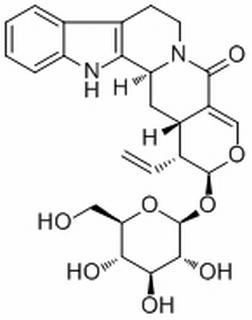 异长春花苷内酰胺，化学对照品(20mg)