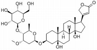 杠柳毒苷，化学对照品(20mg)