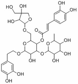 连翘酯苷B，化学对照品(20mg)