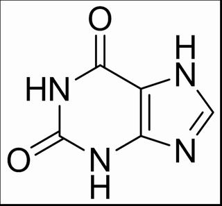 黄嘌呤，分析标准品,HPLC≥98%