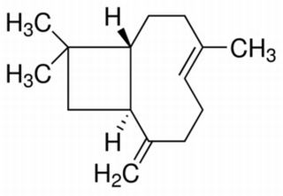 β-丁香烯，化学对照品(约0.1ml)