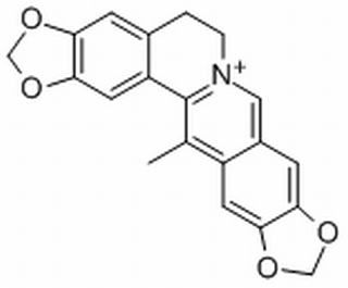 甲基黄连碱，分析标准品,HPLC≥98%