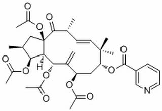 3,5,7,15-Tetraacetoxy-9-nicotinoyloxy-6(17),11-jatrophadien-14-one,分析标准品,HPLC≥98%