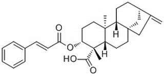 ent-3β-Cinnamoyloxykaur-16-en-19-oic acid,分析标准品,HPLC≥98%