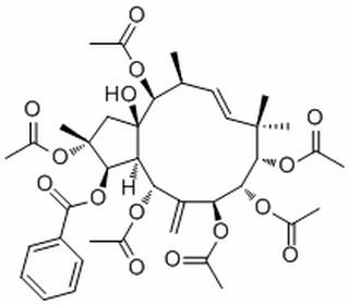 Jatrophane 2,分析标准品,HPLC≥98%