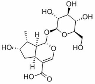 马钱苷酸，化学对照品(20mg)