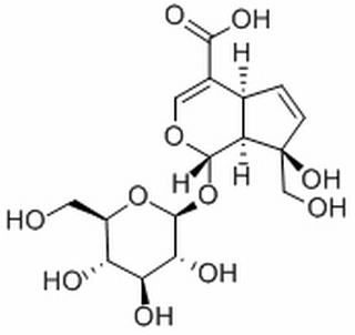 水晶兰苷，化学对照品(20mg)