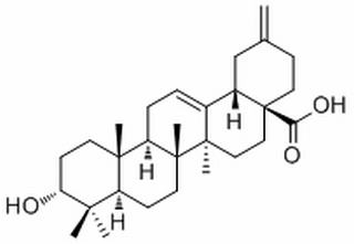 3-Epiakebonoic acid，分析标准品,HPLC≥98%