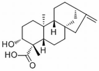 ent-3β-Hydroxykaur-16-en-19-oic acid，分析标准品,HPLC≥98%