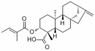ent-3β-Tigloyloxykaur-16-en-19-oic acid，分析标准品,HPLC≥98%