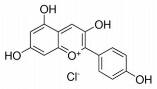 天竺葵素（氯化花葵素），分析标准品,HPLC≥96%