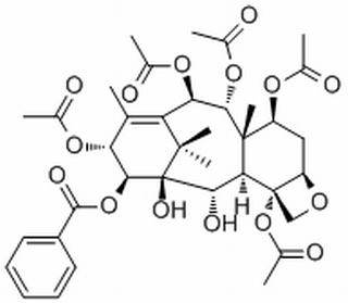 14β-Benzoyloxy-2-deacetylbaccatin VI,分析标准品,HPLC≥98%