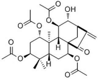 苍山香茶菜素，分析标准品,HPLC≥98%