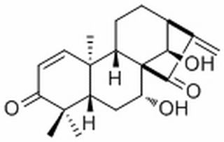 凉山香茶菜素A，分析标准品,HPLC≥98%