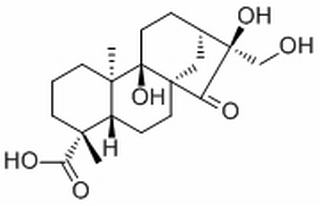 Pterisolic acid F，分析标准品,HPLC≥98%