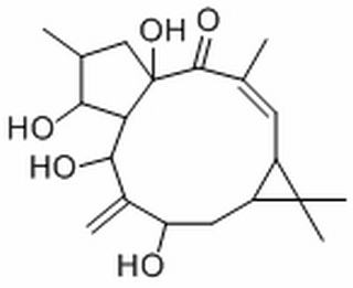 7-羟基千金子二萜醇，分析标准品,HPLC≥98%