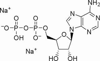 5-腺苷二磷酸二钠盐，分析标准品,HPLC≥98%