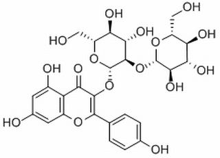 山奈酚-3-O-β-D-槐糖苷，分析标准品,HPLC≥98%