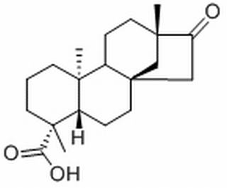 异甜菊醇，分析标准品,HPLC≥98%