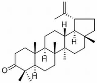 羽扇烯酮，分析标准品,≥98%（TLC）