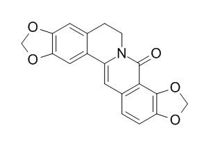 8-氧黄连碱，分析标准品,HPLC≥98%