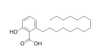 银杏酸C15:0，分析标准品,HPLC≥99%
