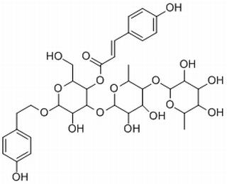紫茎女贞苷B，分析标准品,HPLC≥98%
