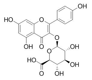 山奈酚葡萄糖醛酸苷，分析标准品,HPLC≥98%
