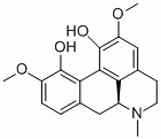 紫堇块茎碱，分析标准品,HPLC≥98%