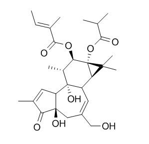 伏波酯-12-惕各酸酯-13-异丁酸酯，分析标准品,HPLC≥98%