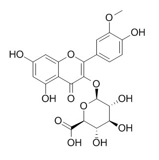 异鼠李素-3-葡萄糖醛酸苷，分析标准品,HPLC≥95%