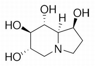 栗精胺，分析标准品,HPLC≥98%