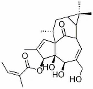 巨大戟醇-3-O-当归酸酯，分析标准品,HPLC≥98%