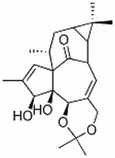 巨大戟醇-5,20-缩丙酮，分析标准品,HPLC≥98%