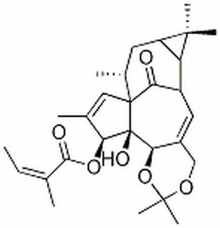 巨大戟醇-5,20-缩丙酮-3-当归酸酯，分析标准品,HPLC≥98%