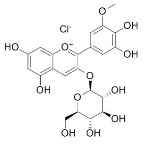 氯化矮牵牛素-3-O-葡萄糖苷，分析标准品,HPLC≥95%