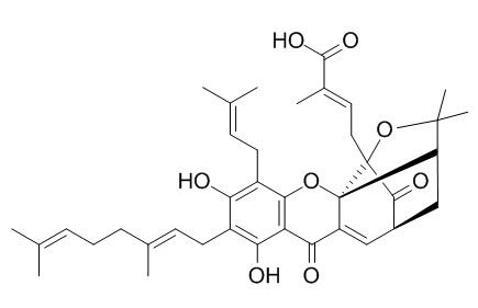 异新藤黄酸，分析标准品,HPLC≥95%