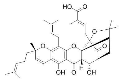 9S-10alpha-羟基表藤黄酸，分析标准品,HPLC≥95%