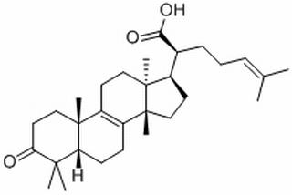 榄香酮酸，分析标准品,HPLC≥98%